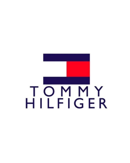 Tommy Hilfiger T-Shirt, Gray T-Shirt For Men's