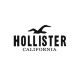 Hollister